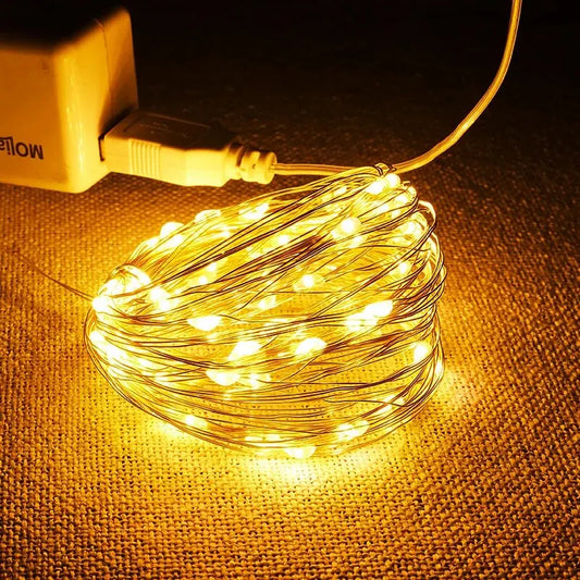 USB LED String Lights 5M Silver Wire Garland – Waterproof Fairy Lights for Christmas Wedding Party Decoration