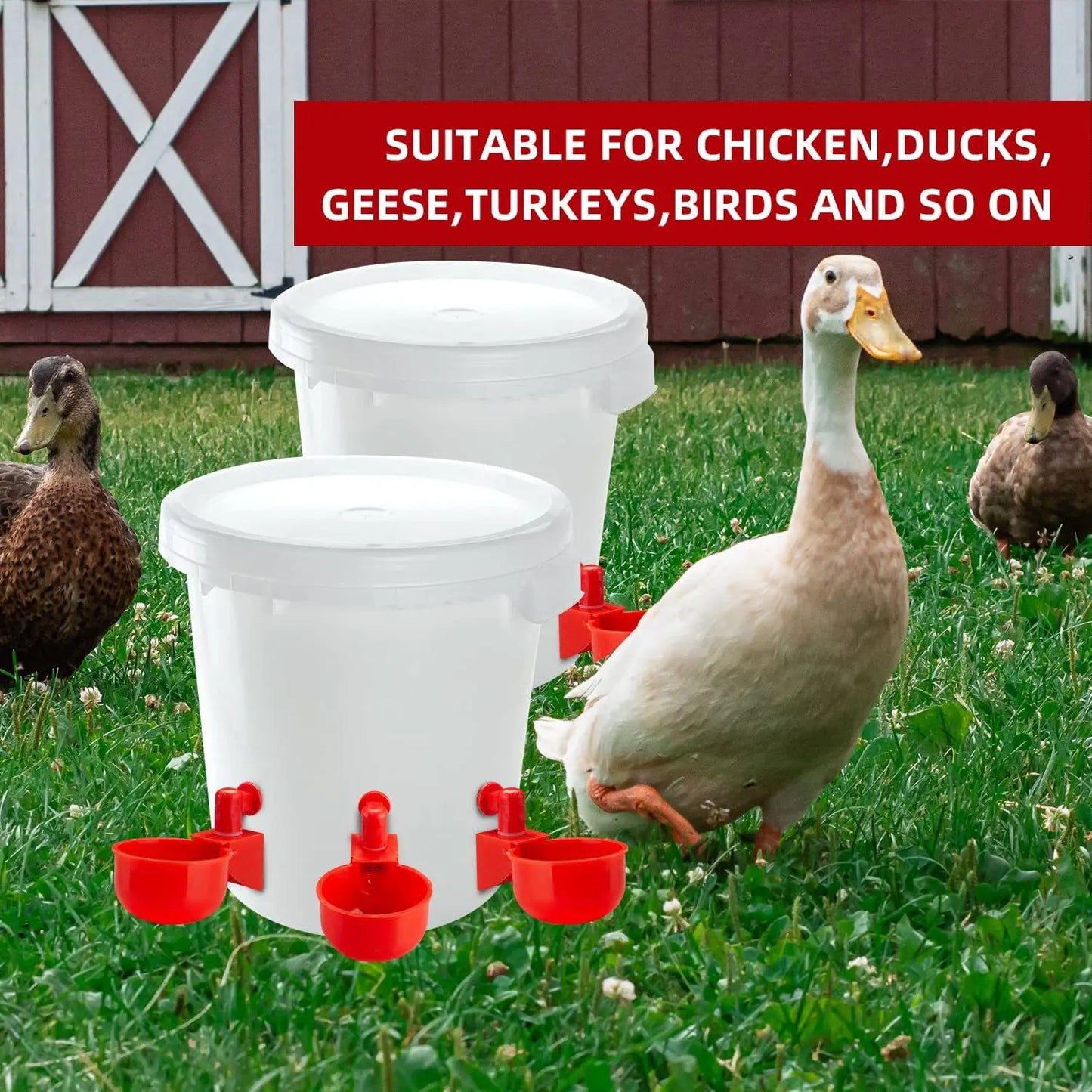 20PCS Chicken Drinking Cups – Automatic Poultry Water Feeder for Chicks, Ducks & Quails