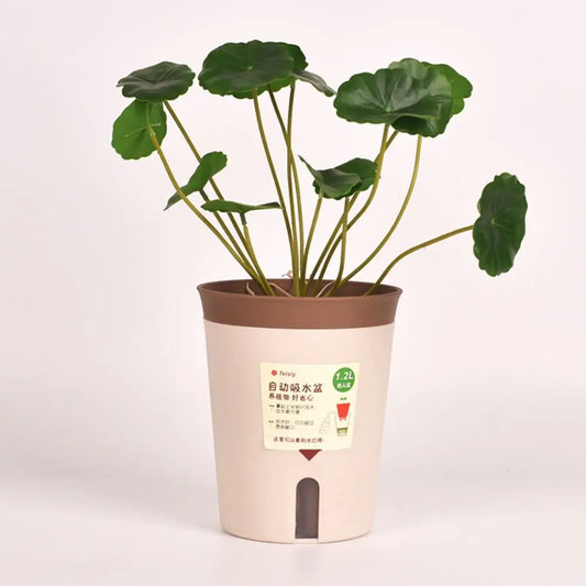 وعاء زراعة ذاتي الري، وعاء زهور بلاستيكي للزراعة المائية، ديكور مكتبي، وعاء زهور ذاتي الامتصاص، ديكور سطح المكتب، غرفة المعيشة 