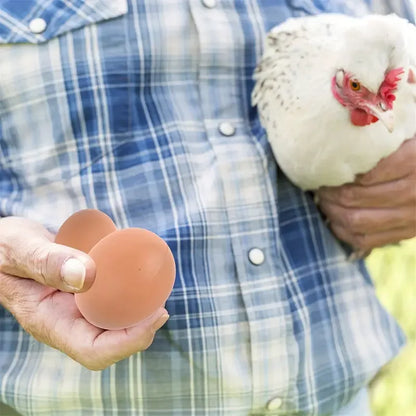 6/12PCS Plastic Fake Chicken Eggs – Hen Nesting Training Eggs for Coops & Cages