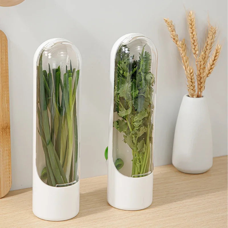 1 Pc Vegetable Preserving Bottle – Herbal Storage Container for Fresh Kitchen Supplies