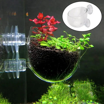 Acrylic Aquarium Plant Cup with Suction – Transparent Aquatic Planting Pot for Fish Tanks