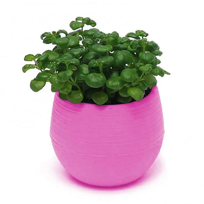 Mini Resin Succulent Pot – 2-Layer Drain Hole Planter for Desk & Garden Decor