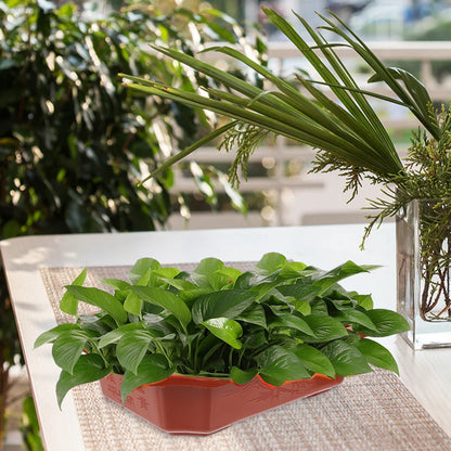 13Pcs Mini Bonsai Pots – Colorful Plastic Succulent Planters with Drainage for Desktop & Nursery Use