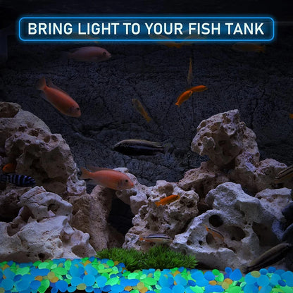 50/200PCS Glow in The Dark Rocks Outdoor Luminous Glowing Pebbles Stones Rocks for Indoor Outdoor Decorations Garden Lawn Yard