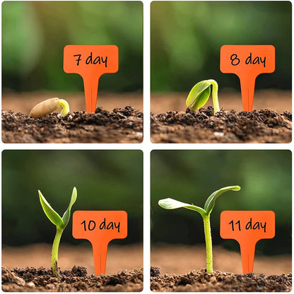 30Pcs T-Shape Plant Labels with Pen – Waterproof Garden Markers for Seedlings & Pots (10CM, 6 Colors)