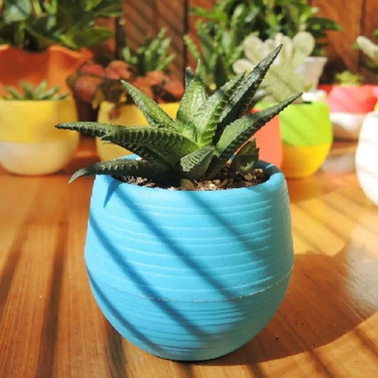 Mini Resin Succulent Pot – 2-Layer Drain Hole Planter for Desk & Garden Decor