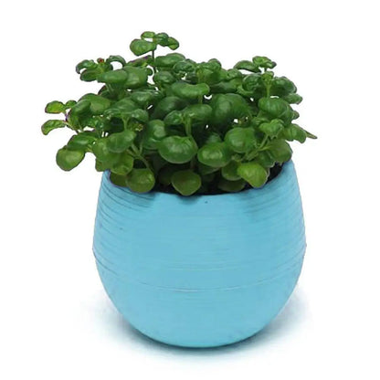 Mini Resin Succulent Pot – 2-Layer Drain Hole Planter for Desk & Garden Decor