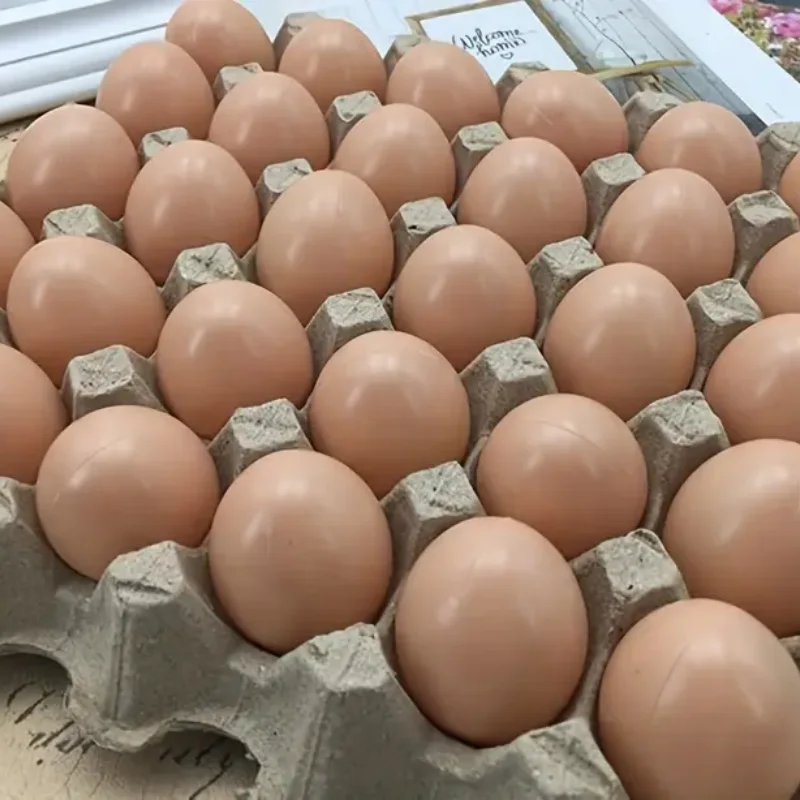 6/12PCS Plastic Fake Chicken Eggs – Hen Nesting Training Eggs for Coops & Cages