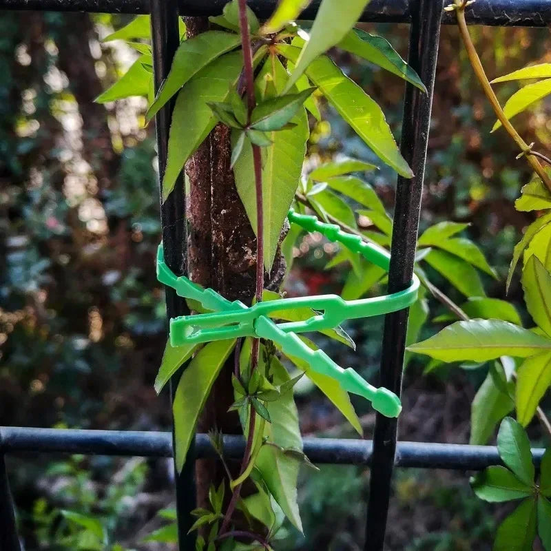 أربطة كابلات قابلة لإعادة الاستخدام للحدائق، تدعم النباتات والكروم والأشجار والشجيرات، مزودة بقفل، مصنوعة من النايلون، قابلة للتعديل، مزودة بسحاب، أدوات تنظيم الكابلات 