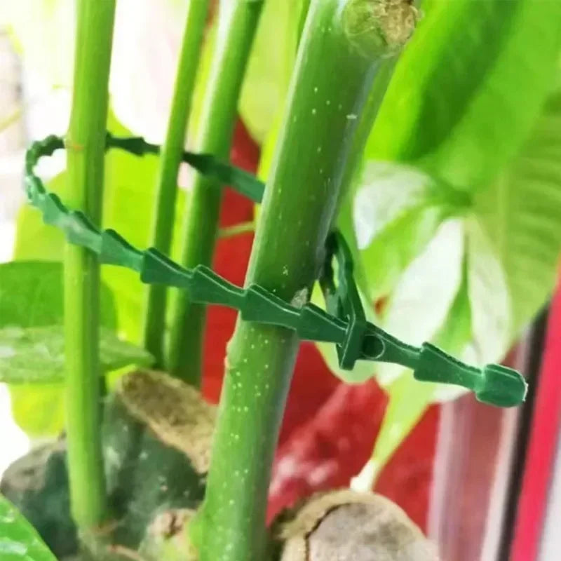 أربطة كابلات قابلة لإعادة الاستخدام للحدائق، تدعم النباتات والكروم والأشجار والشجيرات، مزودة بقفل، مصنوعة من النايلون، قابلة للتعديل، مزودة بسحاب، أدوات تنظيم الكابلات 