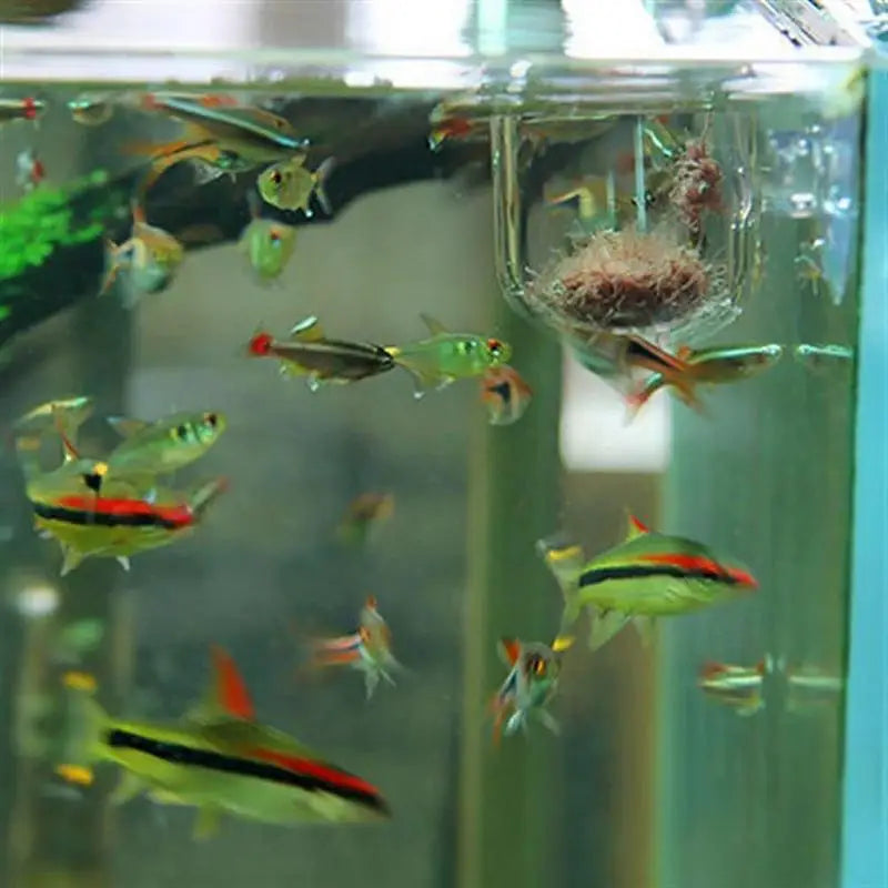 Acrylic Aquarium Plant Cup with Suction – Transparent Aquatic Planting Pot for Fish Tanks