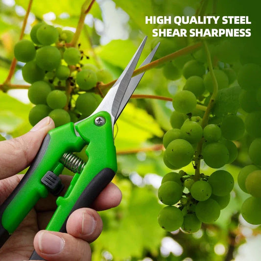 Garden Secateurs Bonsai Shears – Ergonomic Pruning Tool for Fruit Picking, Weeding & Household Potted Plants