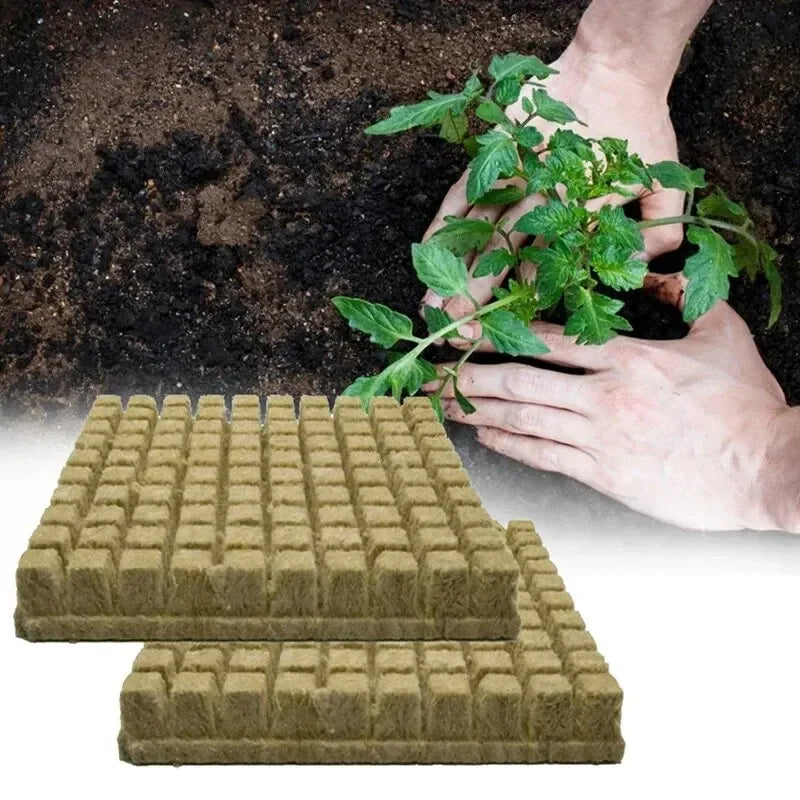 50pcs 25x25x25mm Stonewool Hydroponic Grow Media Cubes – Soilless Rockwool Seedling Blocks for Plant Propagation