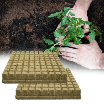 50pcs 25x25x25mm Stonewool Hydroponic Grow Media Cubes – Soilless Rockwool Seedling Blocks for Plant Propagation