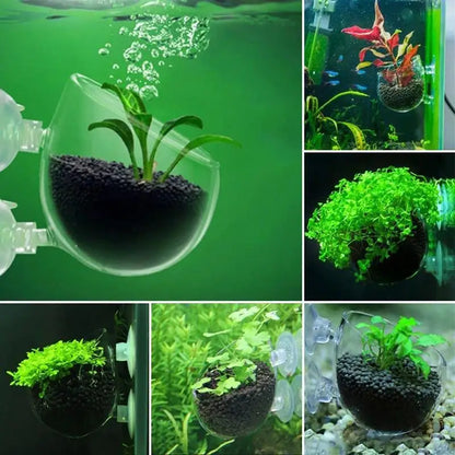 Acrylic Aquarium Plant Cup with Suction – Transparent Aquatic Planting Pot for Fish Tanks