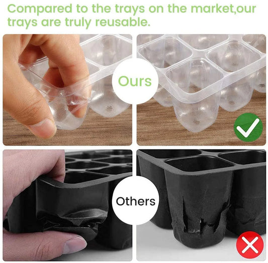 12-Hole Seed Starter Tray – Adjustable Germination Box with Ventilation Lid