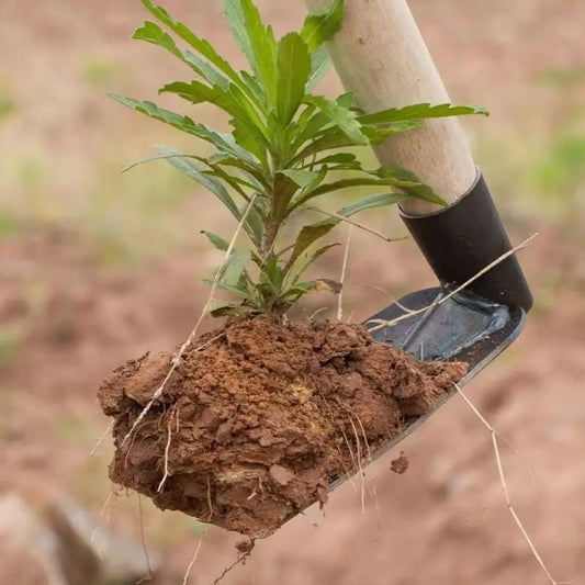 Durable Forged Garden Hoe – Outdoor Weeding Tool for Soil Digging & Planting