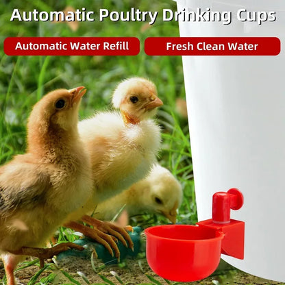 20PCS Chicken Drinking Cups – Automatic Poultry Water Feeder for Chicks, Ducks & Quails