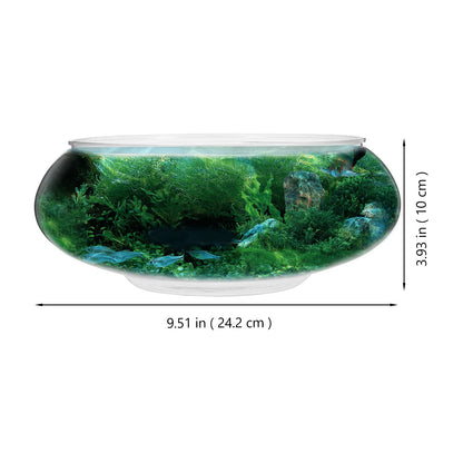 2800ml Transparent Plastic Fish Tank – Desktop Terrarium & Mini Aquarium Bowl
