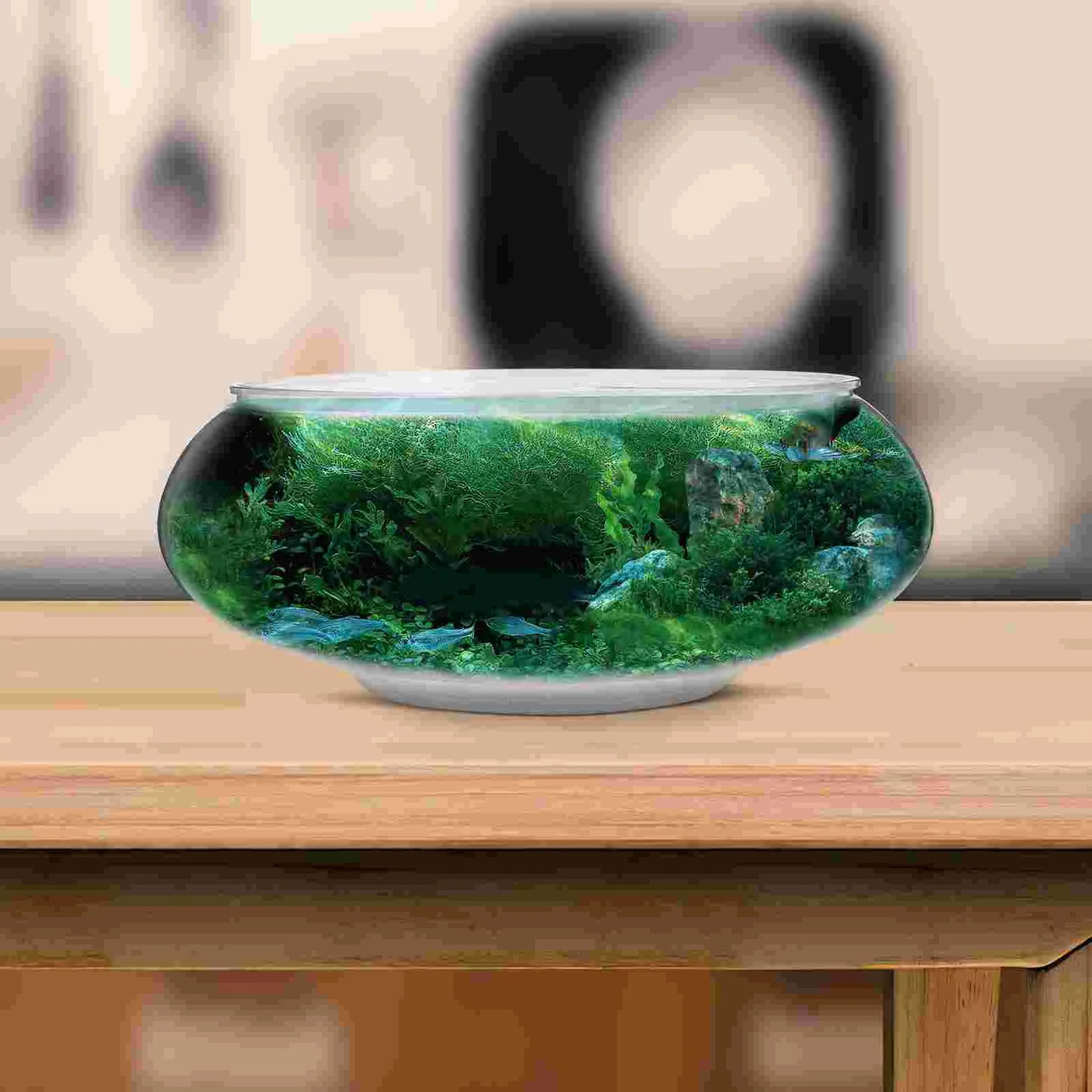 2800ml Transparent Plastic Fish Tank – Desktop Terrarium & Mini Aquarium Bowl
