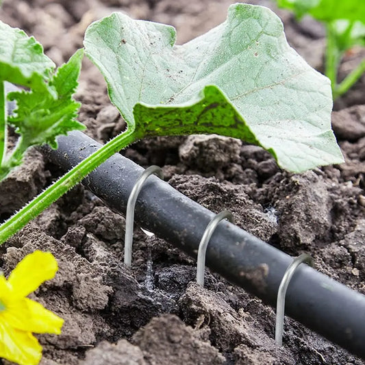 U‑Type Garden Staples – Heavy‑Duty Galvanized Landscape Stakes for Netting & Ground Covers