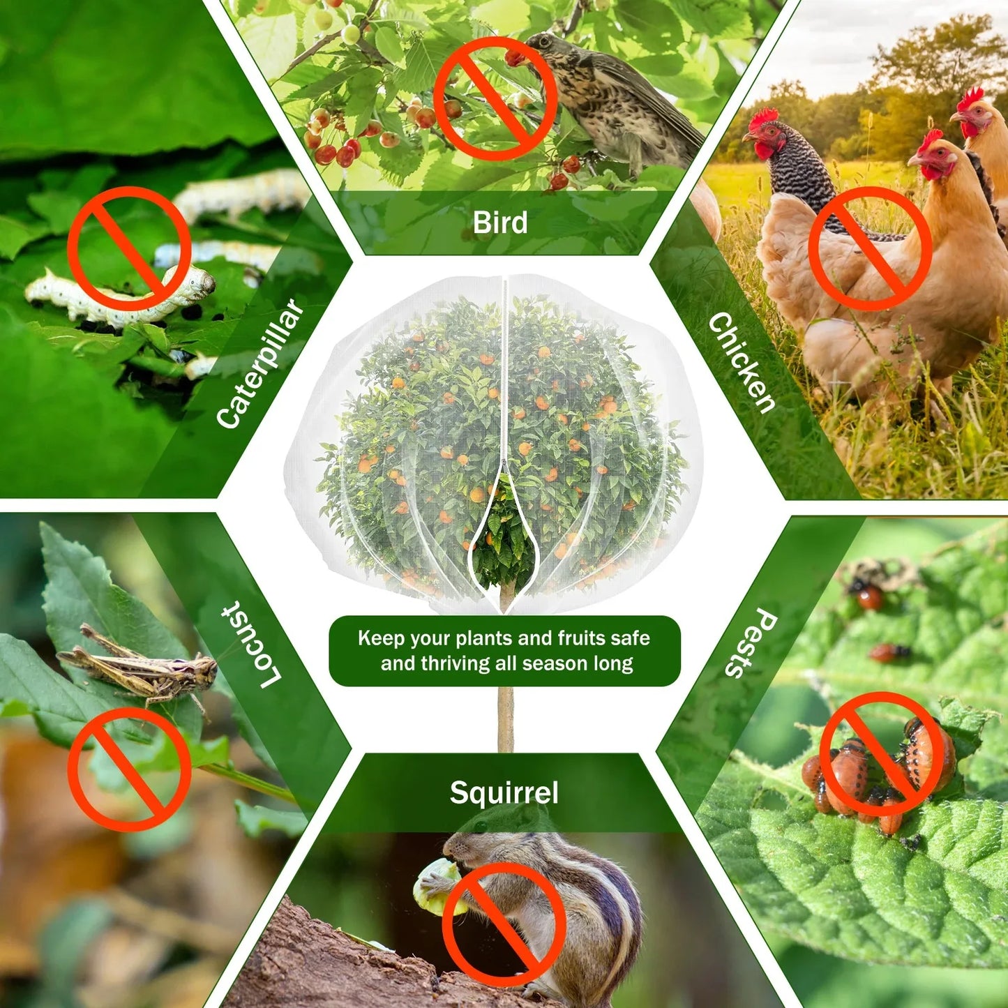 1/2Pcs Fruit Tree Insect Net 10x10 Ft Greenhouse Vegetable Plant Net Large Garden Mesh Cover with Zipper and Drawstring Durable