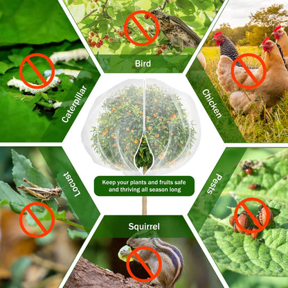 1/2Pcs Fruit Tree Insect Net 10x10 Ft Greenhouse Vegetable Plant Net Large Garden Mesh Cover with Zipper and Drawstring Durable