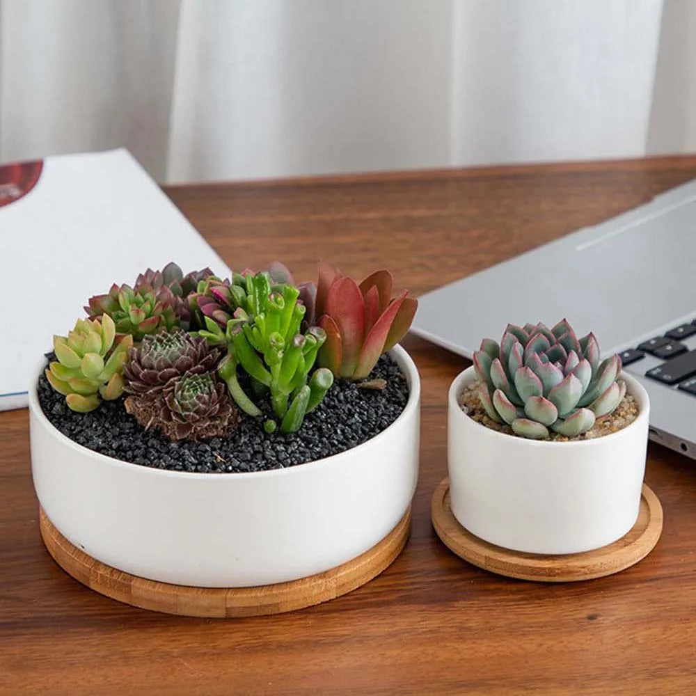 صحن صينية من الخيزران - قاعدة خشبية طبيعية لأصص الزهور والأكواب وديكور المطبخ