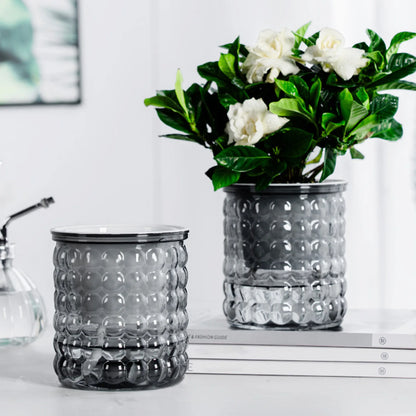 أصيص زهور صغير ذاتي الري، حوض سمك، أصيص نباتات بلاستيكي شفاف، مزهرية ذاتية الري لتزيين المنزل 