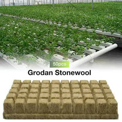 50pcs 25x25x25mm Stonewool Hydroponic Grow Media Cubes – Soilless Rockwool Seedling Blocks for Plant Propagation