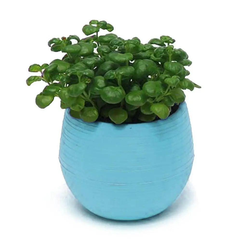 Mini Resin Succulent Pot – 2-Layer Drain Hole Planter for Desk & Garden Decor