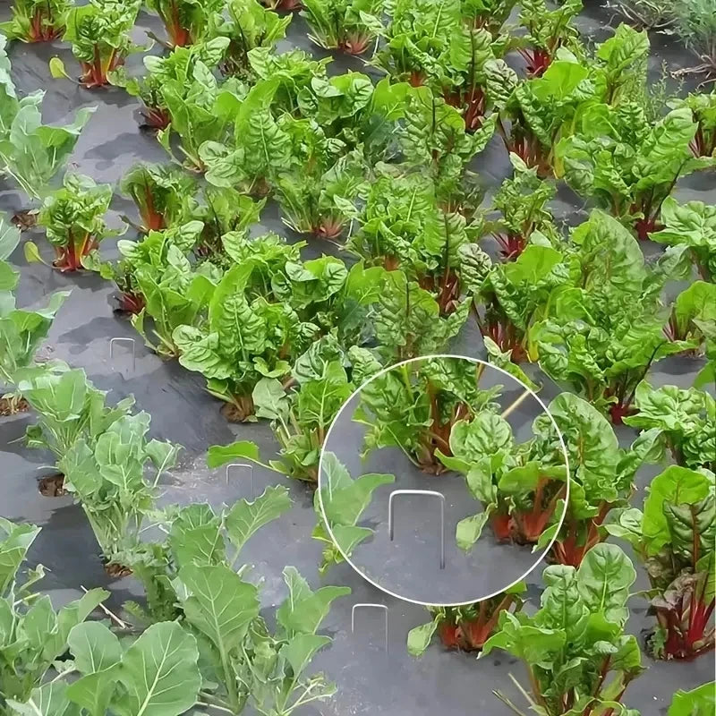 50-100pcs galvanized landscape staples, outdoor decorative stakes, anti weed barrier fabric anti rust staples, U-shaped tent