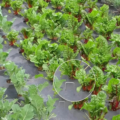 50-100pcs galvanized landscape staples, outdoor decorative stakes, anti weed barrier fabric anti rust staples, U-shaped tent